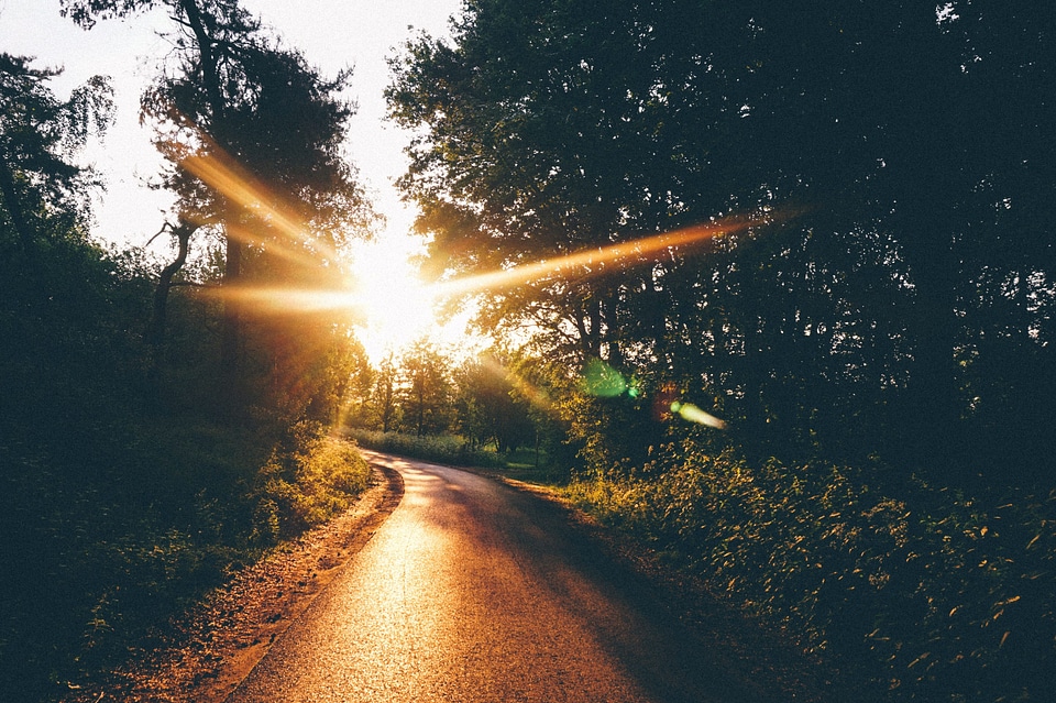 Dusk landscape light