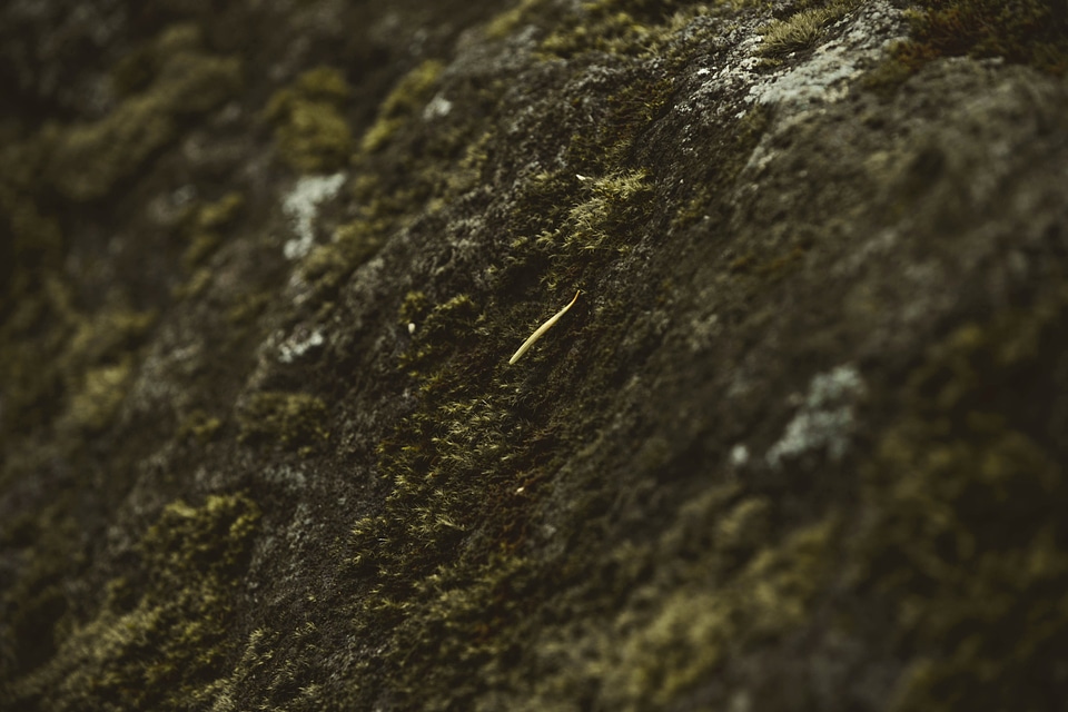 Dark geology ground
