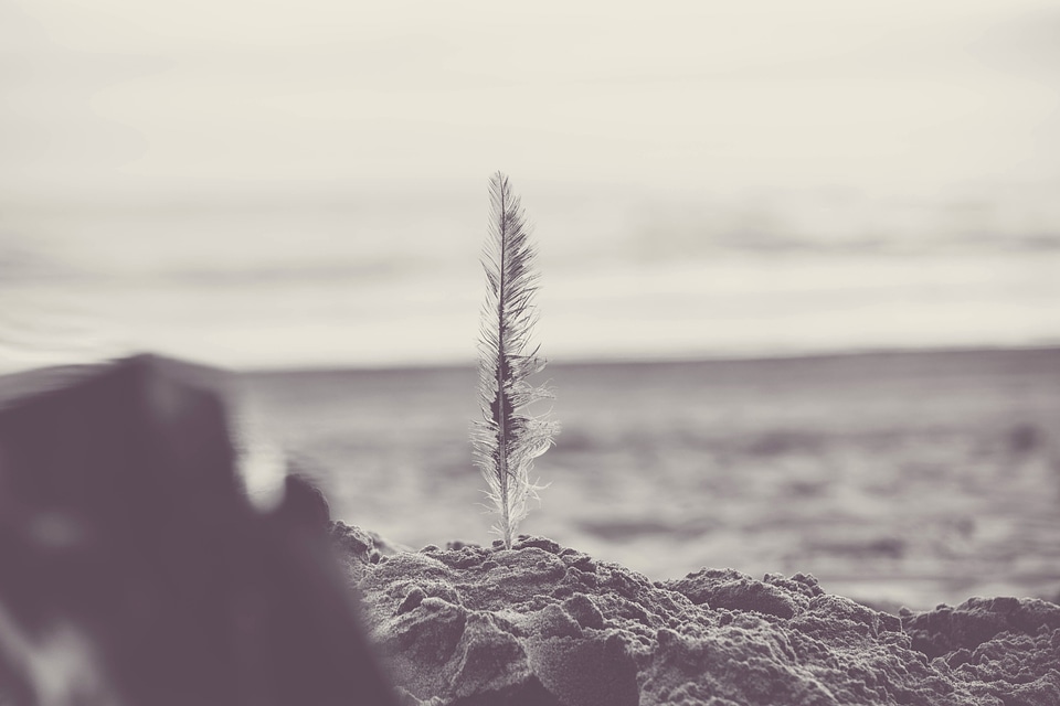 Beach black and white coast