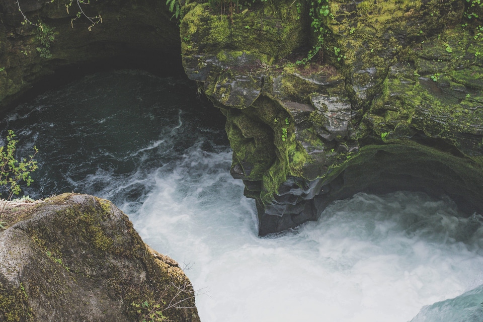 Cliff forest landscape