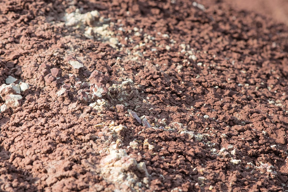 Agriculture dirt dirty