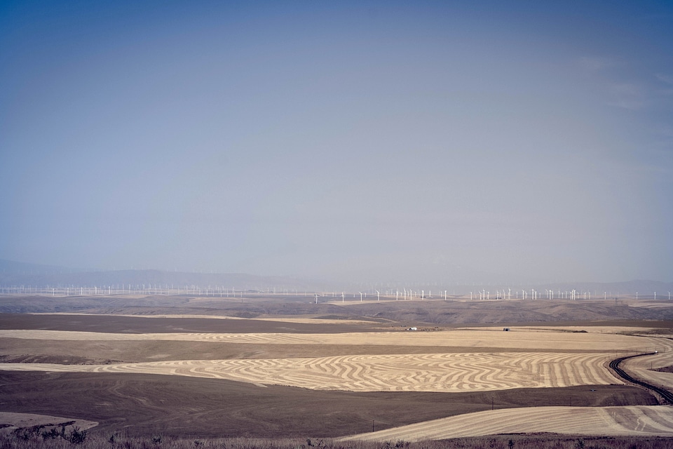 Blue Sky desert field