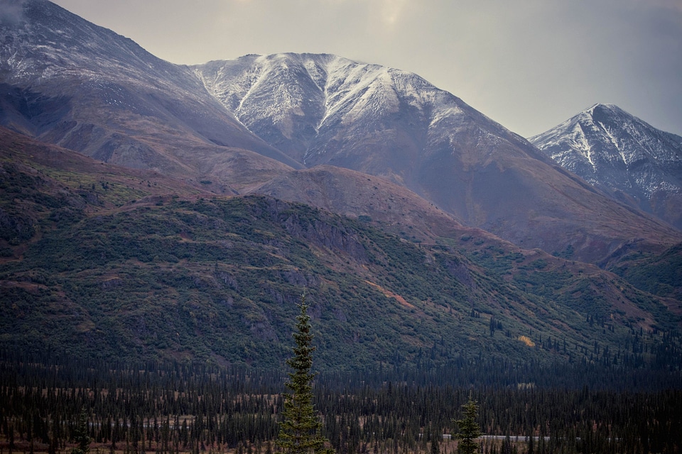 Fog landscape mountain photo