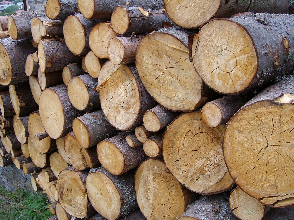Material hardwood texture