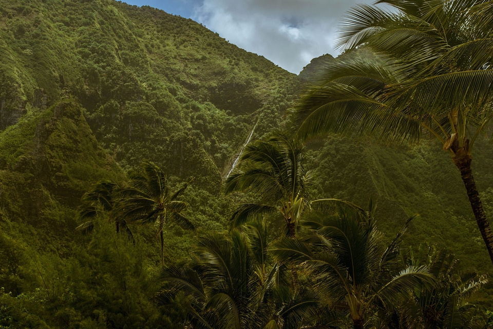 Beautiful Photo exotic hill
