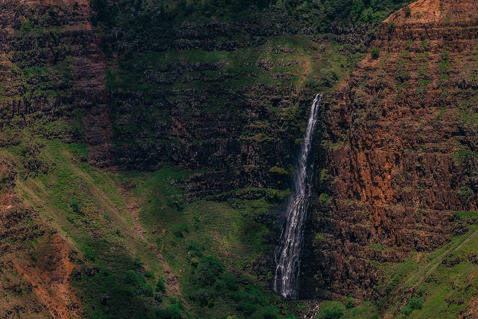 Canyon environment forest