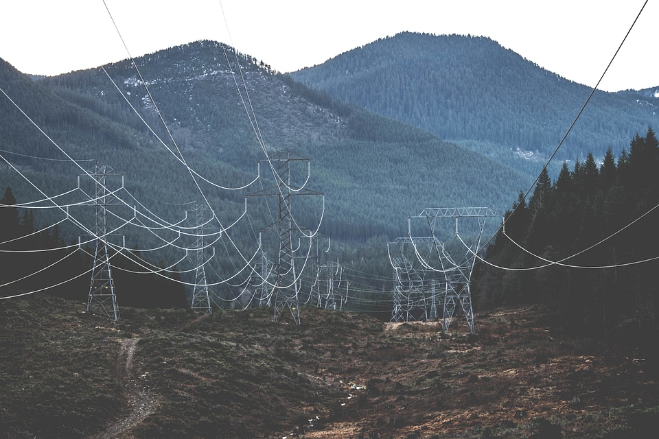 Electricity forest glacier