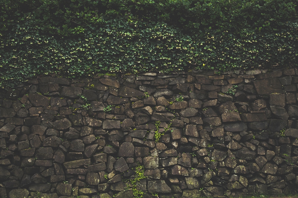 Barrier bush bushes