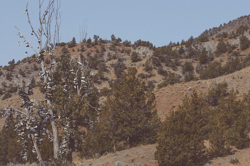 Canyon cliff footwear