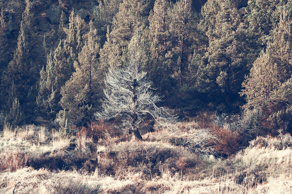 Autumn canyon environment