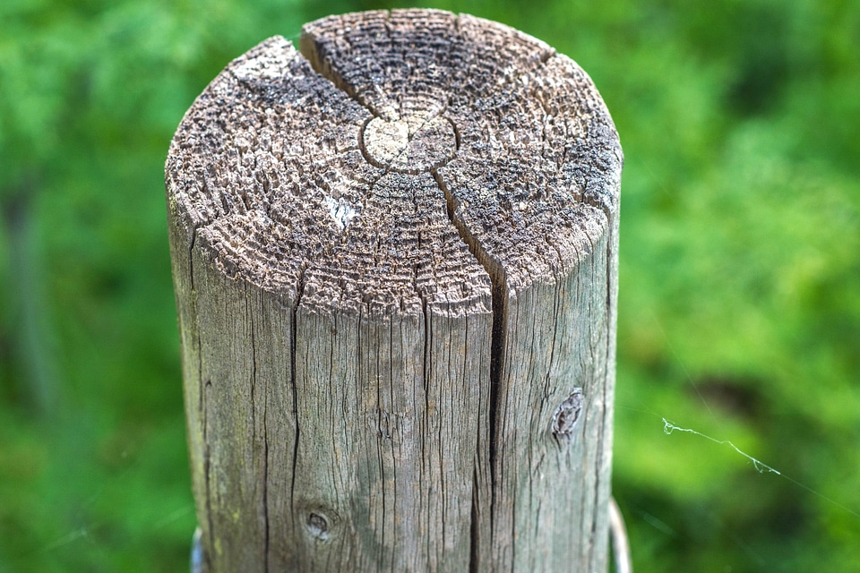 Brown detail fence photo