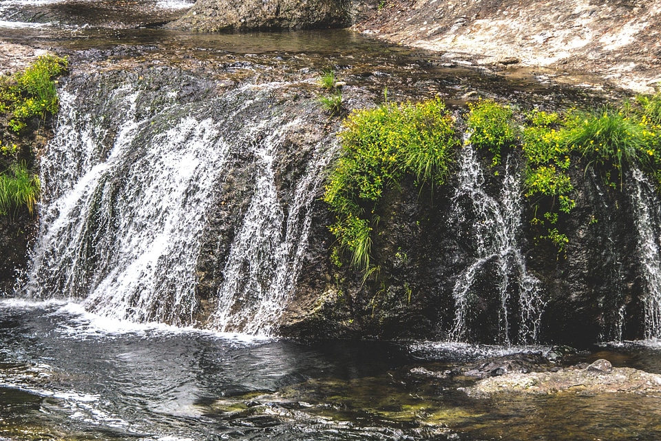 Cascade creek ecology