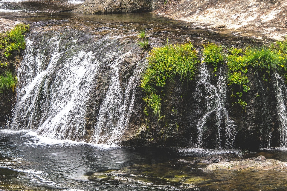 Cascade creek ecology photo