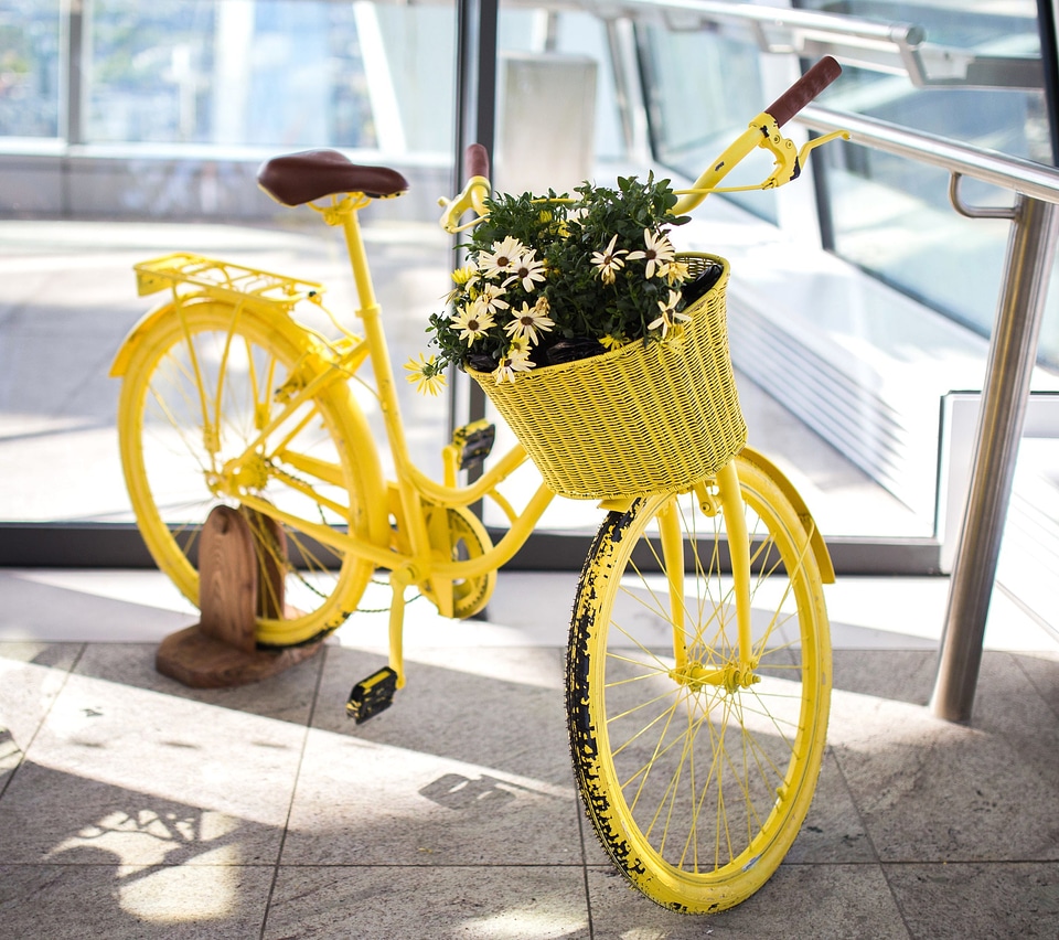 Antique beautiful photo bicycle