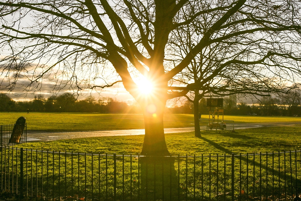 Fence landscape meadow