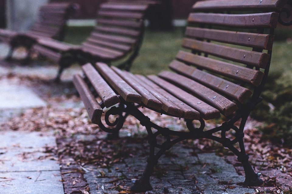 Autumn autumn season bench