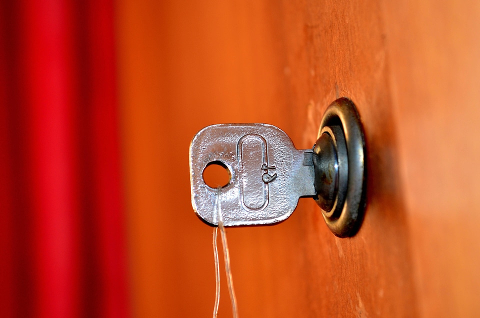 Design detail door