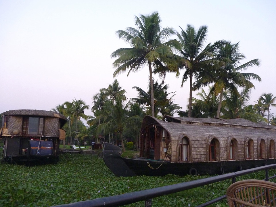 Boat ecotourism green leaves