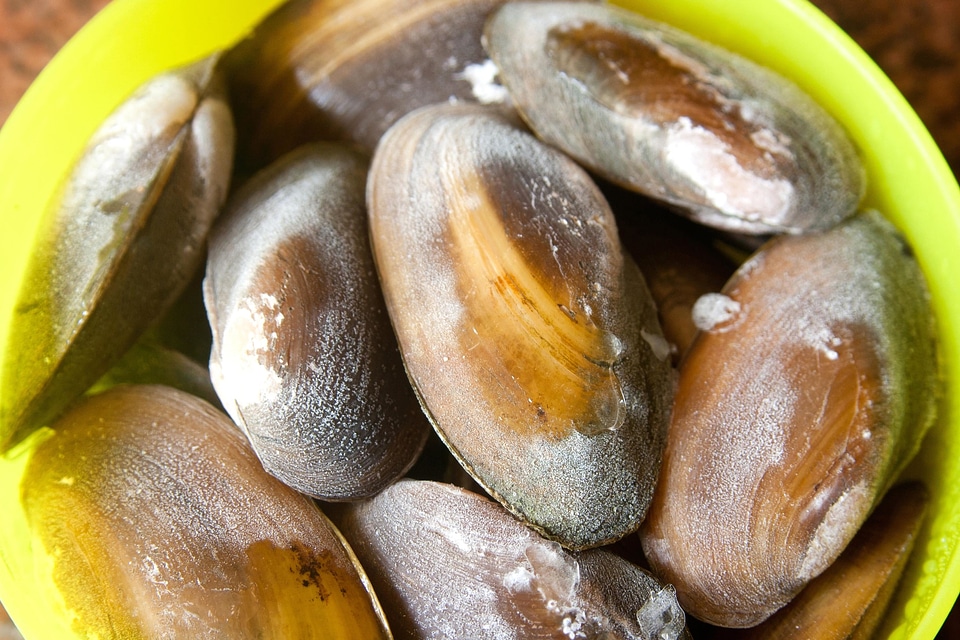 Brown delicious diet