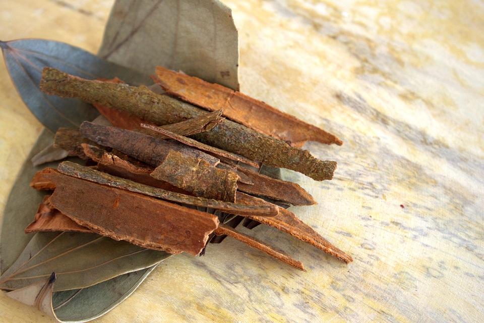 Bark brown cinnamon