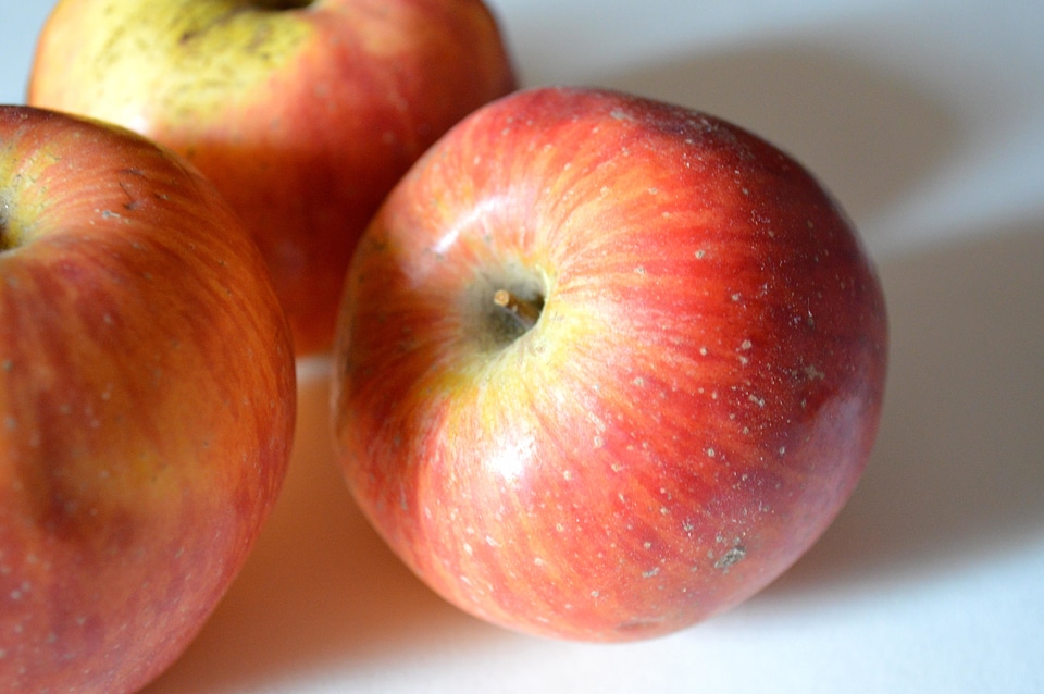 Agriculture apple apples