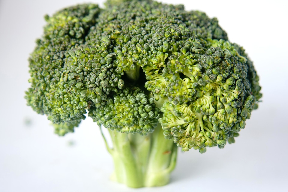 Broccoli diet dietary