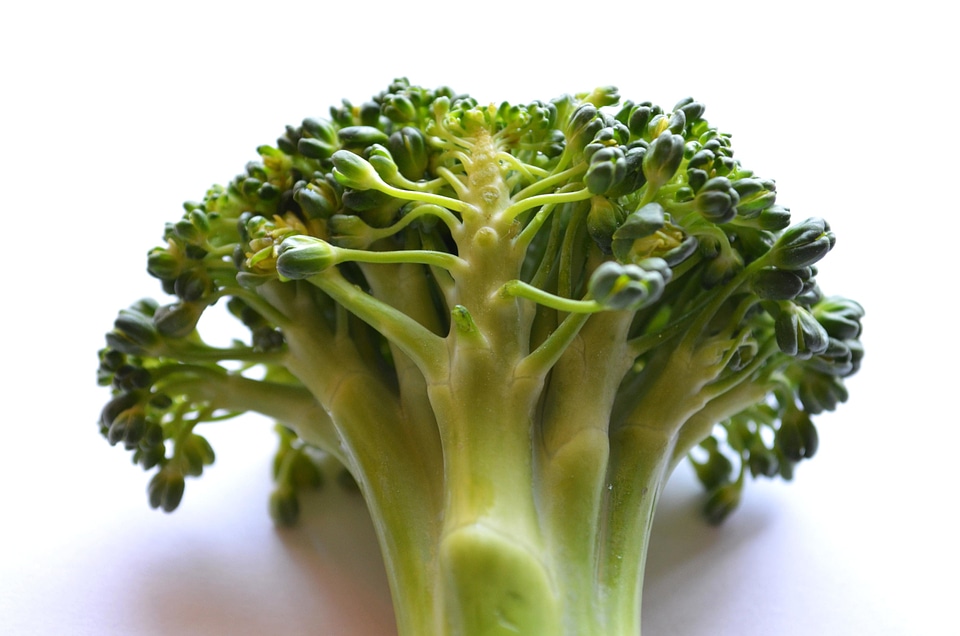 Beautiful Image beautiful photo broccoli