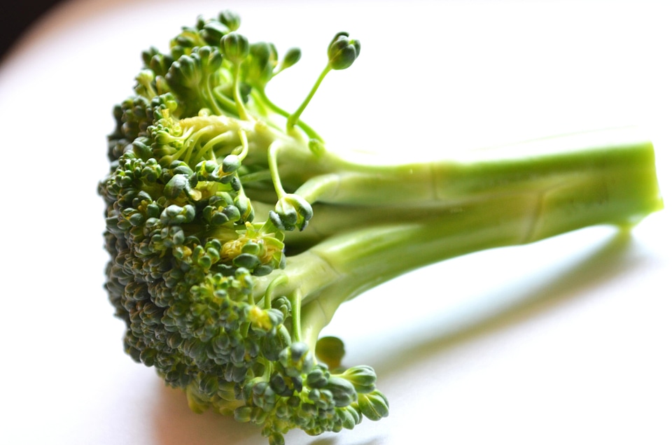 Agriculture broccoli close