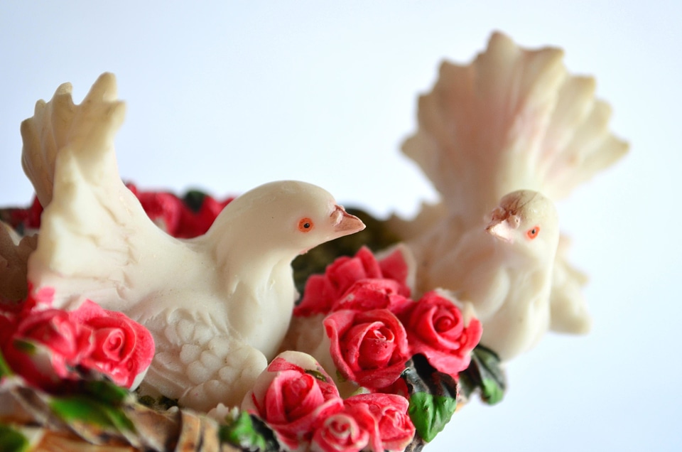 Animal beak beautiful flowers