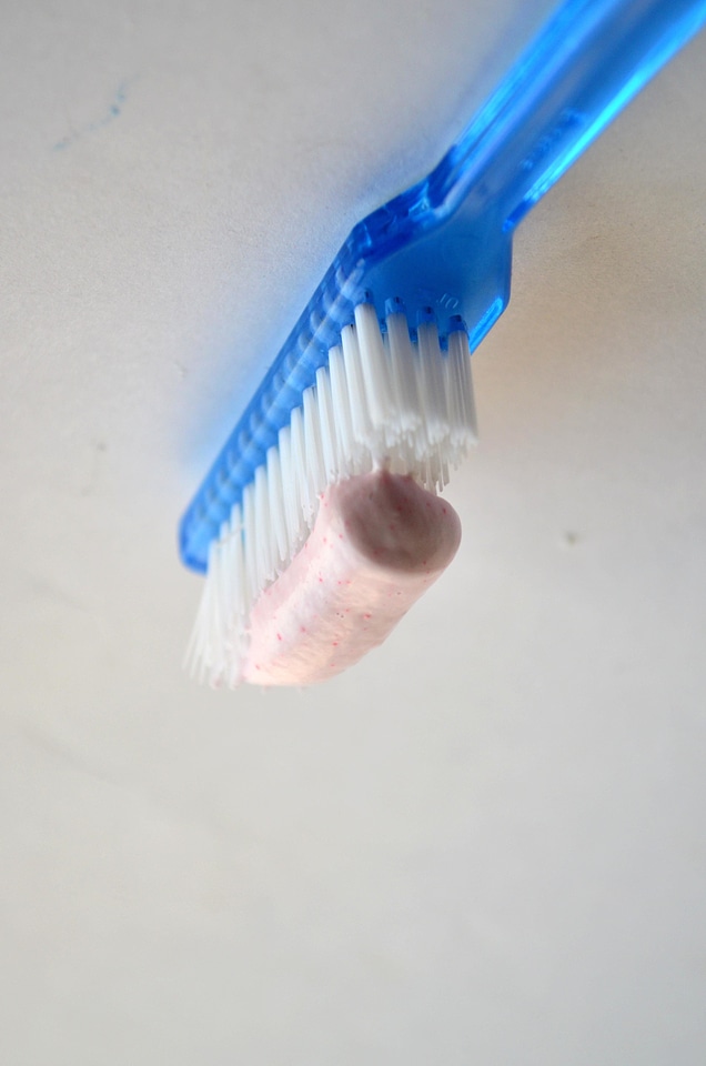 Blue brush close