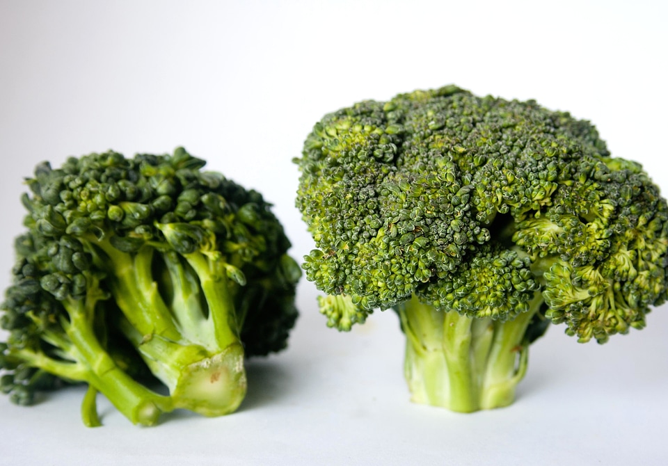 Agriculture broccoli delicious