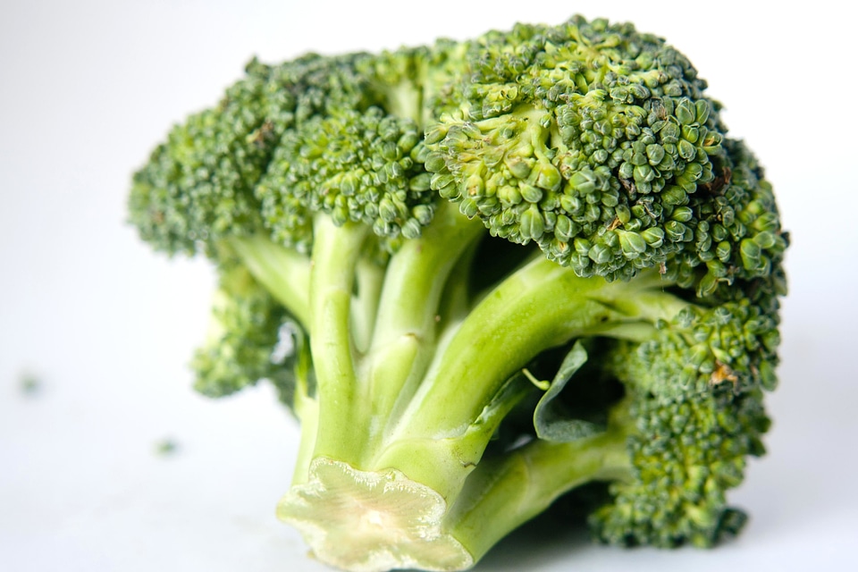 Broccoli dark green delicious