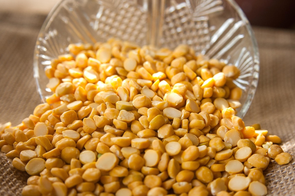 Agriculture bean bowl