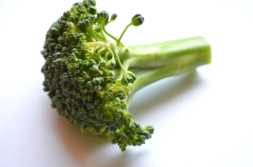 Broccoli dark green delicious