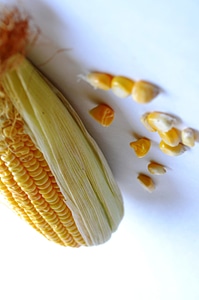 Breakfast close corn photo