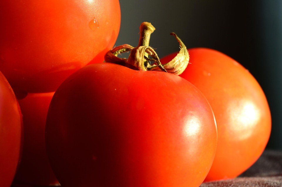 Agriculture delicious diet
