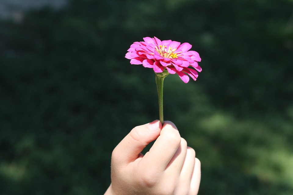 Holding floral pink