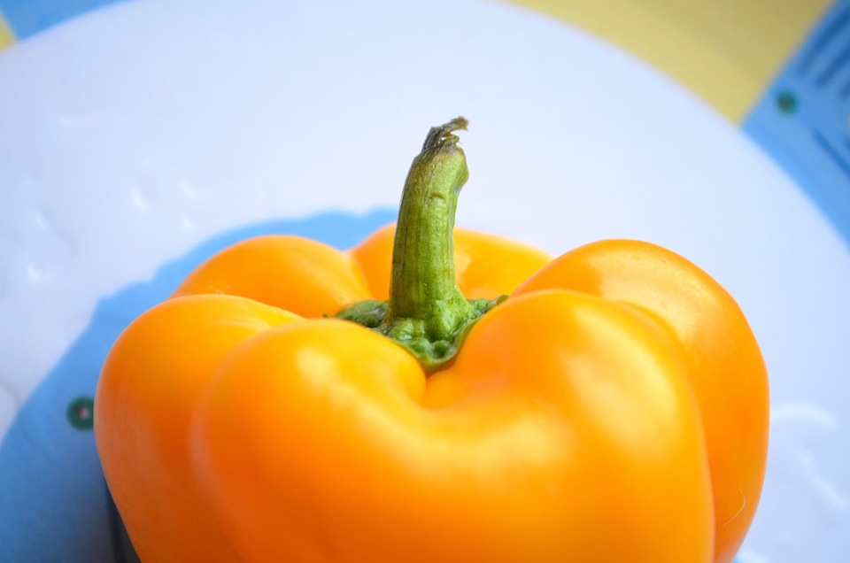Agriculture capsicum color