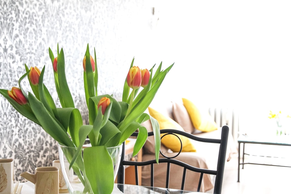 Beautiful Flowers blooming blossom