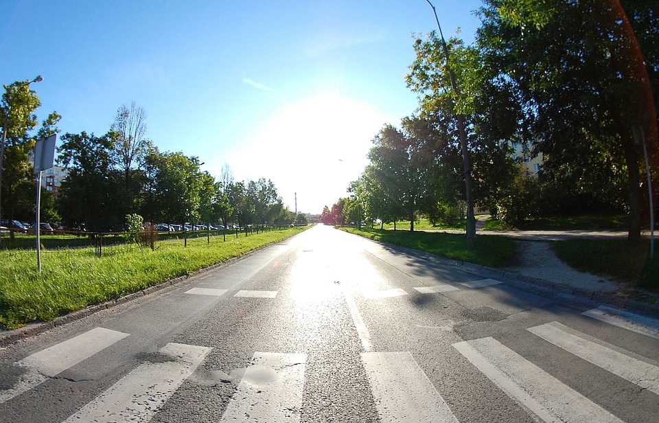 Asphalt drive landscape
