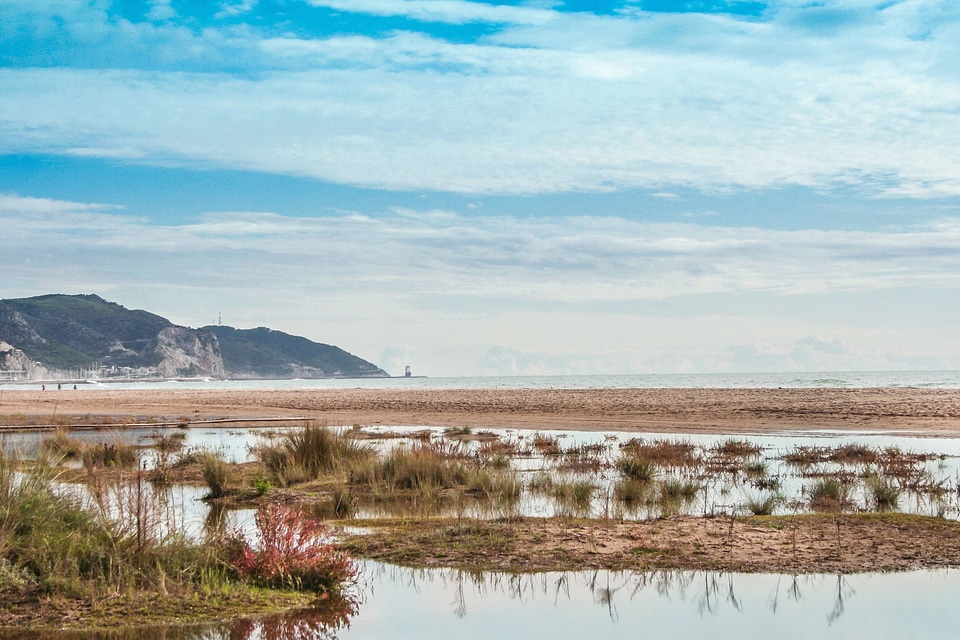 Beach coast landscape photo