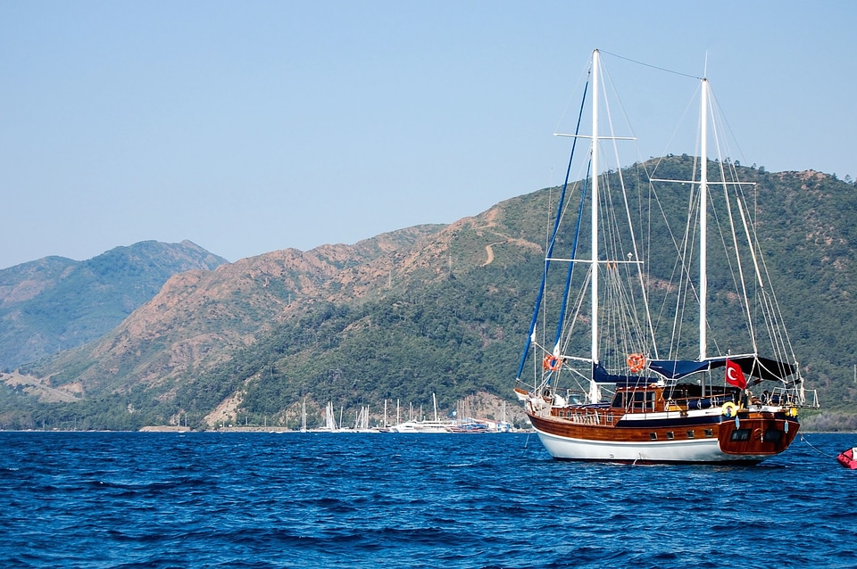 Blue Sky boat forest