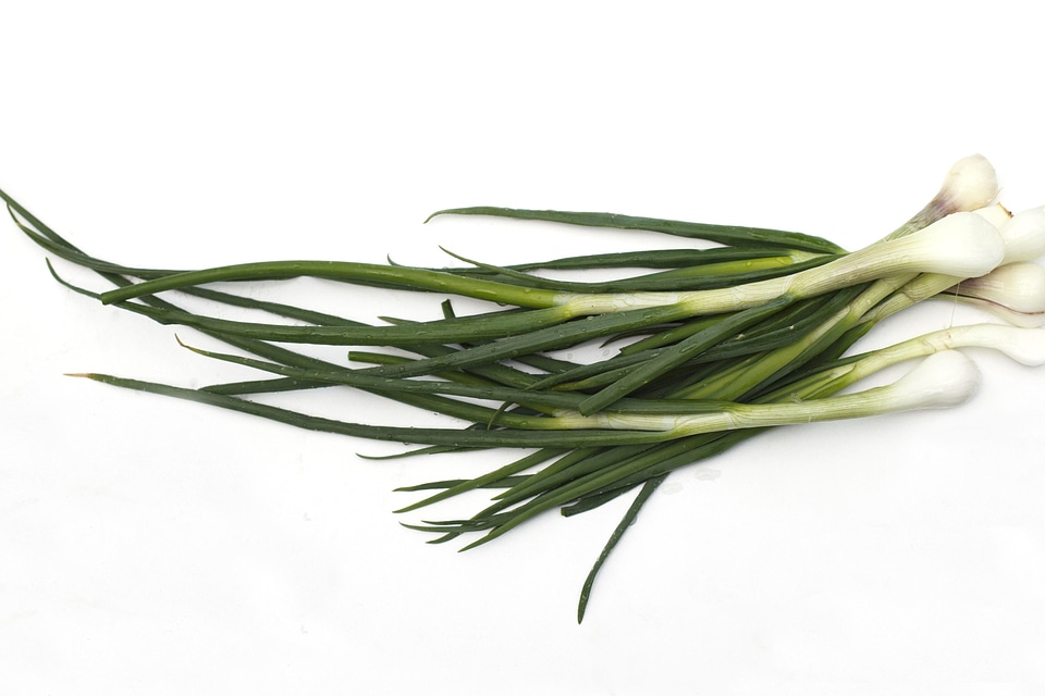 Agriculture diet dietary