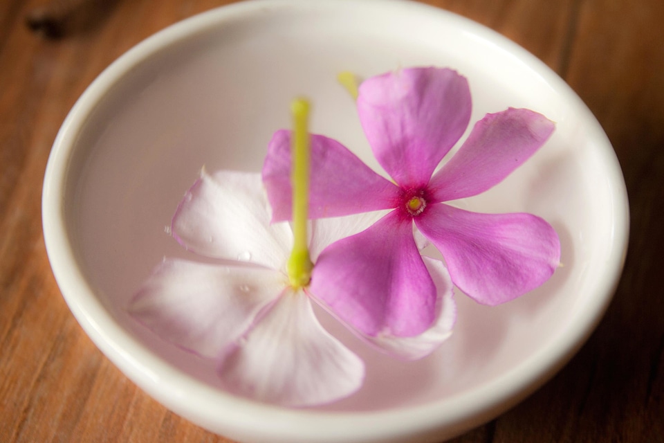 Blossom bowl decoration