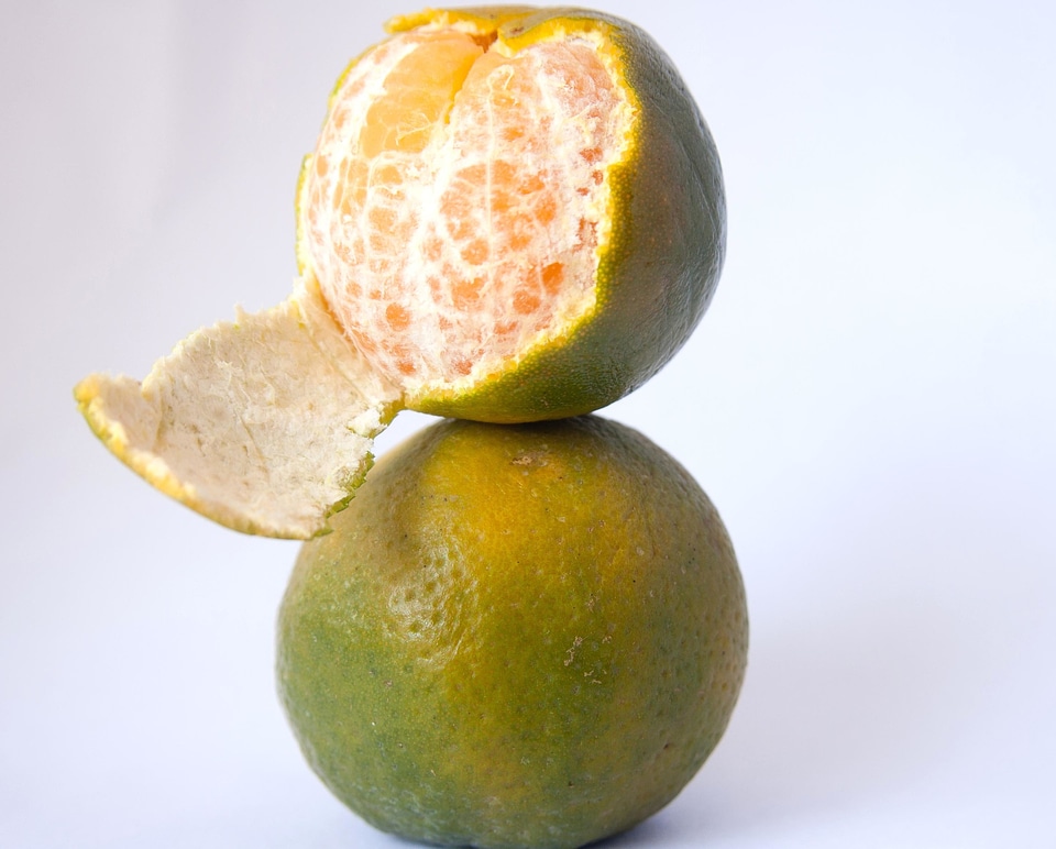 Breakfast citrus color