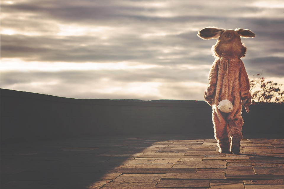 Costume animal easter