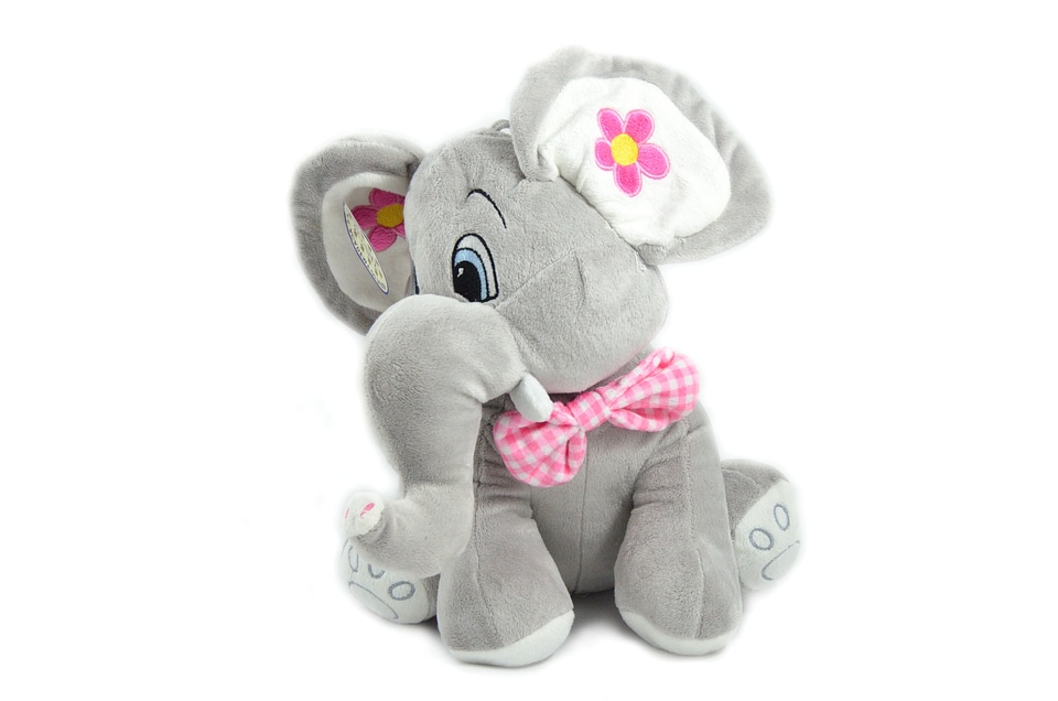 Beautiful Photo elephant funny