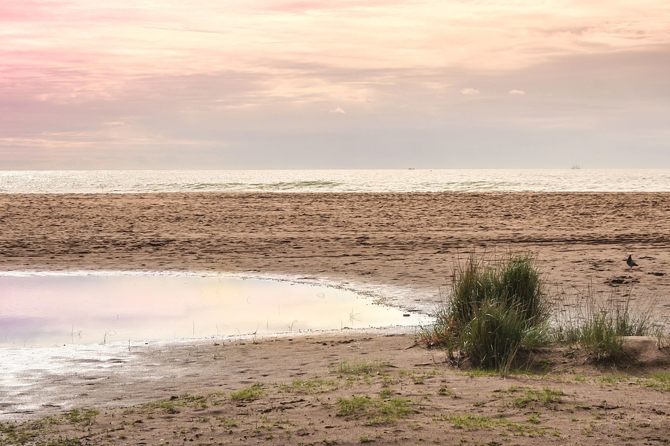 Beach coast island photo