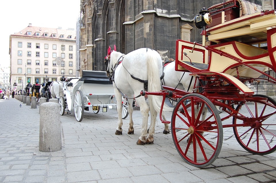 Architecture carriage city