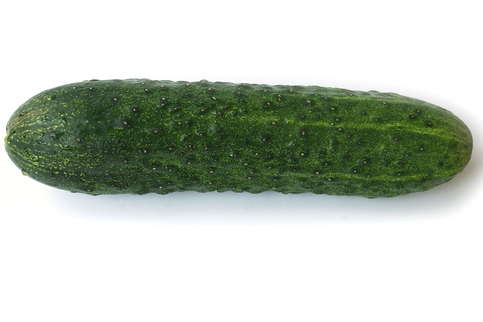 Cucumber dark green diet